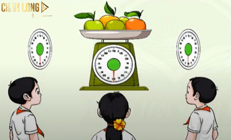 Đơn vị cân là gì? Tổng hợp các đơn vị đo cân nặng phổ biến 5 don-vi-can-la-gi
