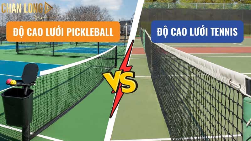 Quy định của chiều cao lưới pickleball theo tiêu chuẩn 9 su-khac-biet-giua-luoi-Pickleball-và-luoi-Tennis