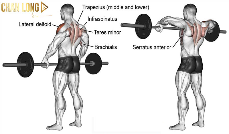 Tổng hợp các bài tập cầu vai đơn giản dễ thực hành 11 Barbell-Upright-Row