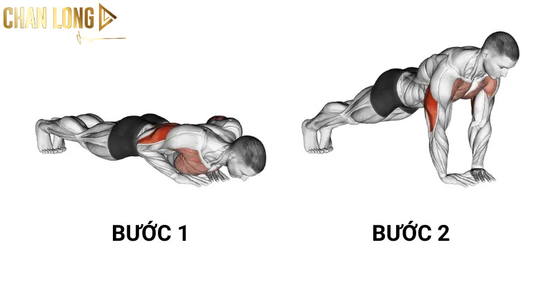Các bài tập giúp giảm mỡ ngực dành cho nam 9 Diamond-Push-up