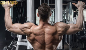 cac-bai-tap-co-cau-vai