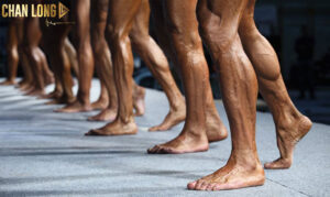 cac-bao-tap-bap-chan-to-ra