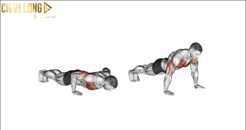 Các bài tập giúp giảm mỡ ngực dành cho nam 8 chong-day-co-ban-Push-up